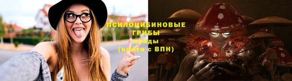 прущие грибы Балахна