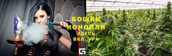 прущие грибы Балахна